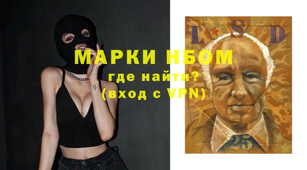 гидра Богородск
