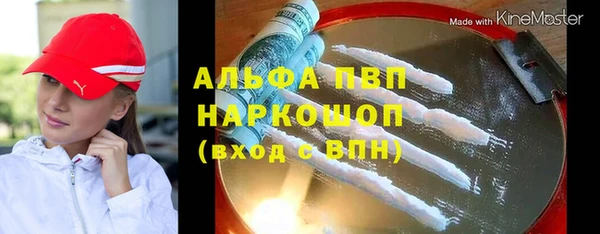 ECSTASY Богородицк