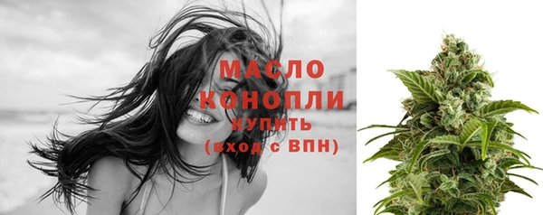 гидра Богородск