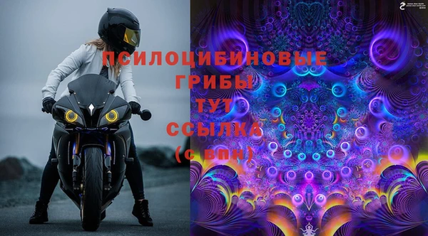 стафф Богданович