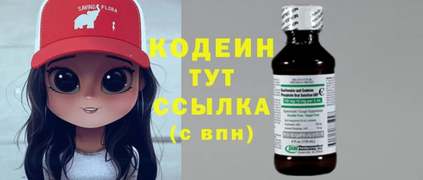 гидра Богородск
