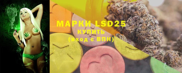 ECSTASY Богородицк