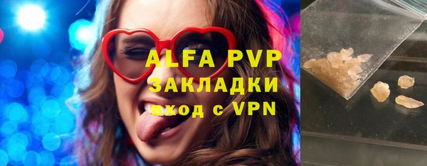 ECSTASY Богородицк